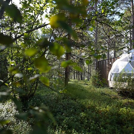 Glod Aurora Canvas Dome ألتا المظهر الخارجي الصورة