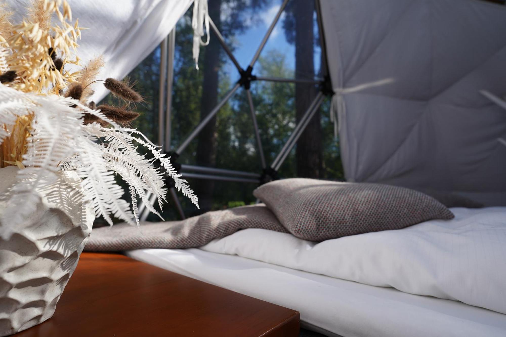 Glod Aurora Canvas Dome ألتا المظهر الخارجي الصورة