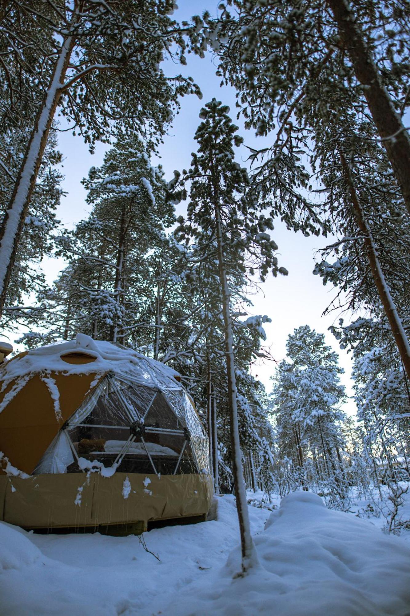 Glod Aurora Canvas Dome ألتا المظهر الخارجي الصورة