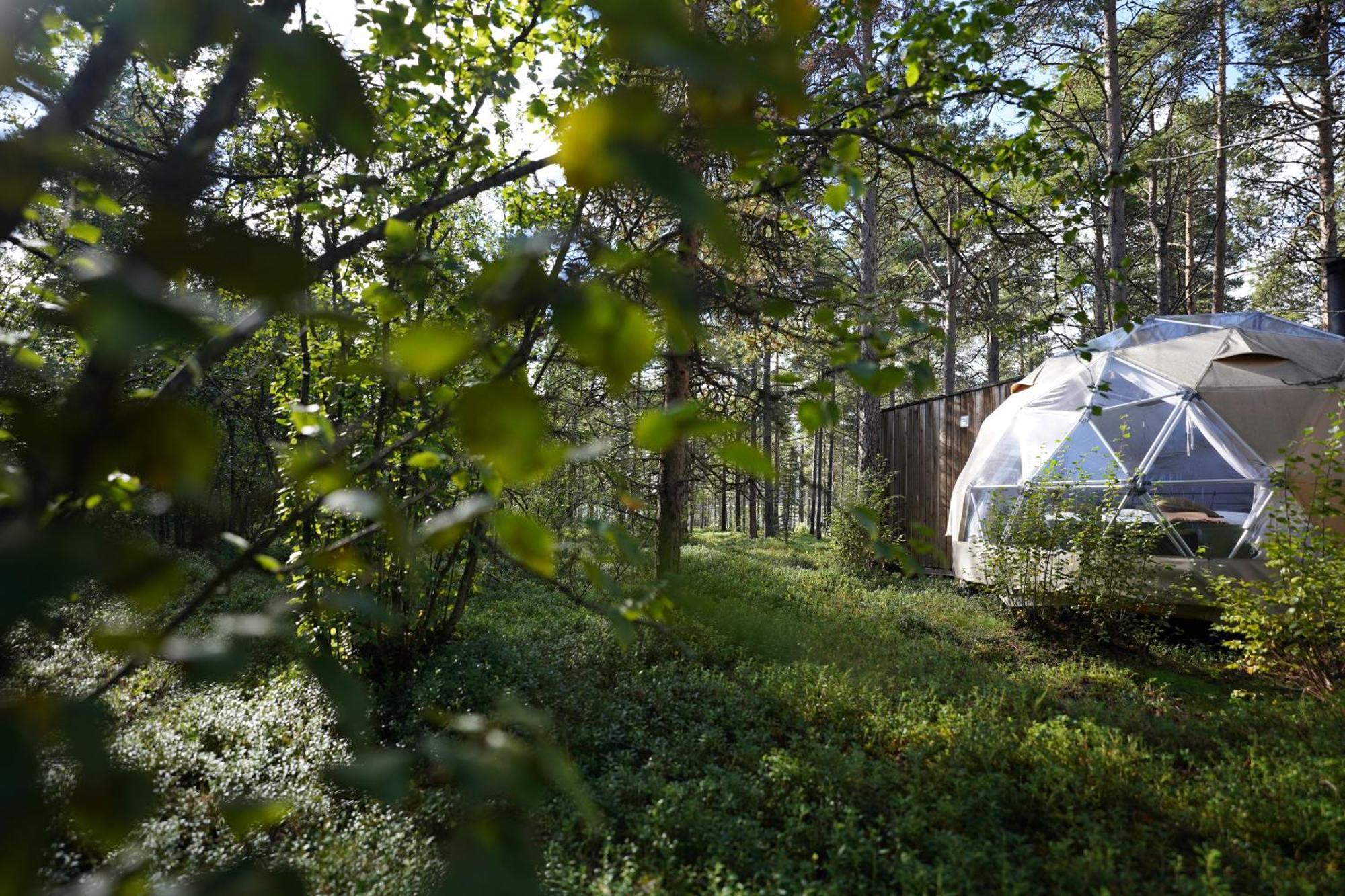 Glod Aurora Canvas Dome ألتا المظهر الخارجي الصورة