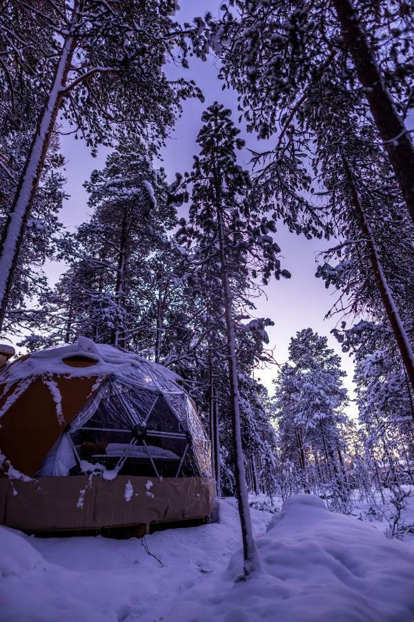 Glod Aurora Canvas Dome ألتا المظهر الخارجي الصورة