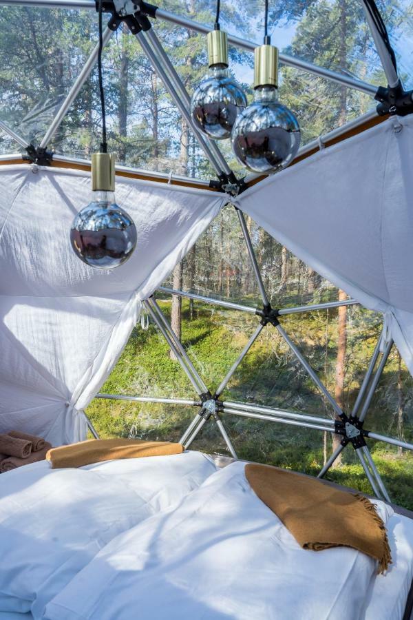 Glod Aurora Canvas Dome ألتا المظهر الخارجي الصورة